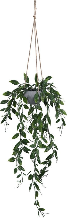 Gesimuleerde groene plant- groene erwtenpod