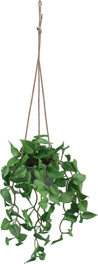 Kunst Hangplant Anthurium Blad – Realistische Groene Slinger – 54 cm – Voor Binnen & Buiten – Inclusief Ophangkoord & Pot