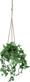 Kunst Hangplant Anthurium Blad – Realistische Groene Slinger – 54 cm – Voor Binnen & Buiten – Inclusief Ophangkoord & Pot
