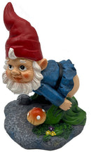 Tuin landschapsdecoratie zonneverlichting ornamenten