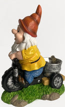 Natuurlijke Vreugde Kabouter op Driewieler Vogelvoederplek