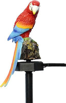 Zonne-energie Buitenlamp - Papegaai Fakkel