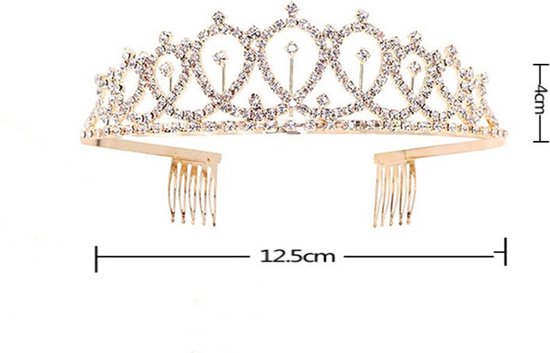 TDR - Verjaardag Sjerp en Tiara - Met text "Birthday Bitch" zwarte feestsjerp met golden tiara