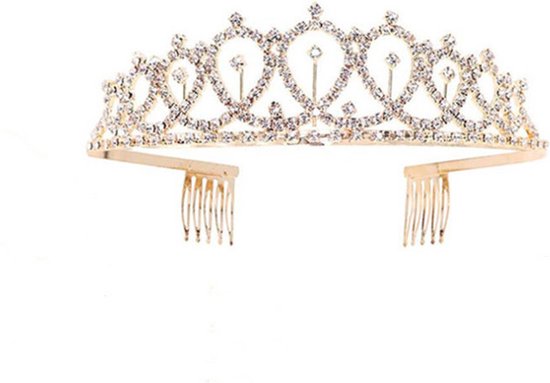 TDR - Verjaardag Sjerp en Tiara - Met text "Birthday Bitch" zwarte feestsjerp met golden tiara