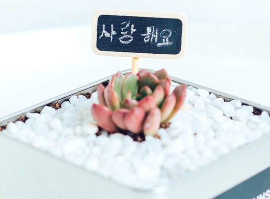 50x Krijtbord met paaltje, zwart 4x2.2x6.3cm - Merkloos