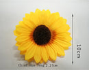 ProductAsset