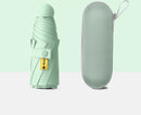 Opvouwbare Paraplu -Windproof-Zonbescherming Anti-Uv UPF50 + met gratis Reisetui-licht groen