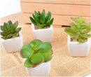 ProductAsset