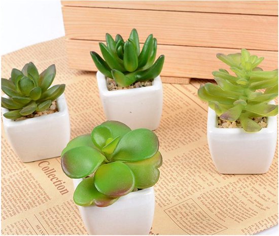 TDR -  6x kunst vetplantjes - Succulenten - Mini kamerplanten - in mooie gevormde witte keramieken potjes - ↑8 cm -Ø 6.6 cm