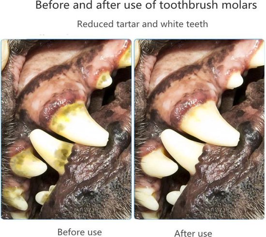 Unikorf Bijtspeelgoed voor Honden - Roos, Duurzaam TPE