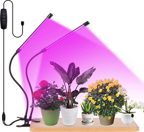 ProductAsset