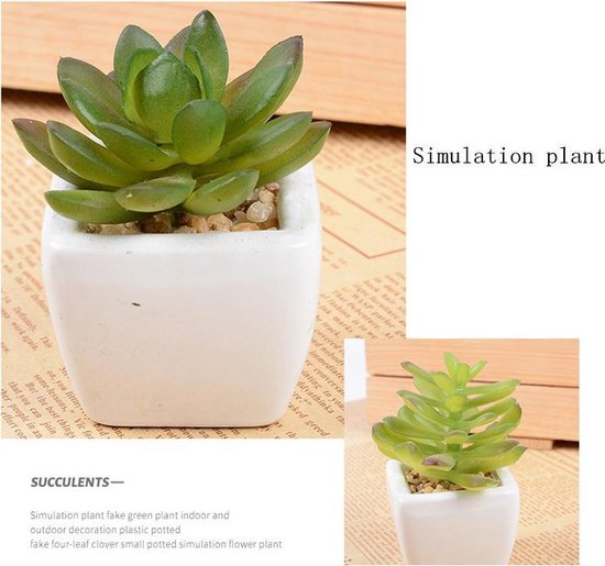 6x Mini kunst succulenten in witte keramieken pot - 8x6.6 cm
