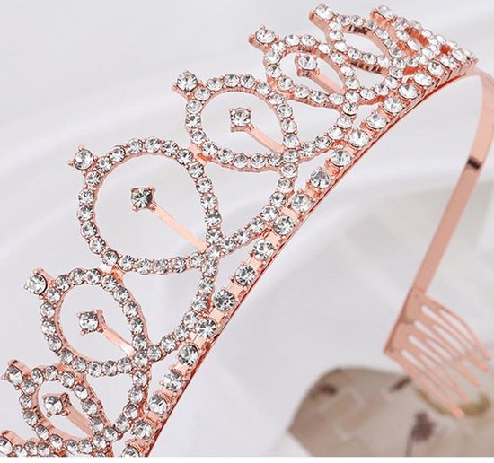 TDR - Verjaardag Sjerp en Tiara - Met text "Birthday Girl "