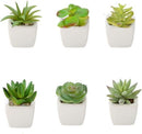TDR -  6x kunst vetplantjes - Succulenten - Mini kamerplanten - in mooie gevormde witte keramieken potjes - ↑8 cm -Ø 6.6 cm
