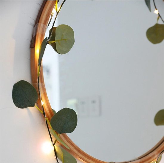 led lichtstring/lichtsnoer eucalyptusbladeren wijnstok licht 10meter 100 lampjes-wekt op batterij