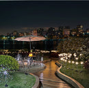 2x Solar Tuinlamp Paardenbloem - Warm Wit Sfeerlicht