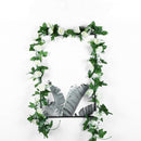 2 Stuks Rozen Slinger - Kunstbloemen slinger - Balkon decoratie - Zomerbloem- 145cm - Klimroos cream & Wit- Bruiloft Decoratie – Trouwen -Trouwdag bloemen