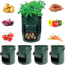 ProductAsset