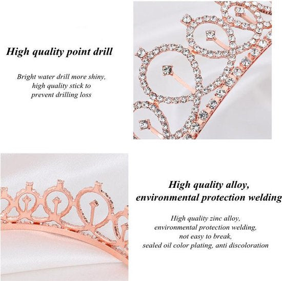 TDR - Verjaardag Sjerp en Tiara - Met text "Birthday Girl "