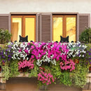 Unikorf 2-delige katten decoratie 22x18 & 22x12 zwart