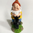 Natuurlijke Vreugde Kabouter op Driewieler Vogelvoederplek