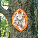 Realistisch Eekhoorn Tuindecoratie Beeldje van Hars 9x4x12.7