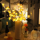 ProductAsset