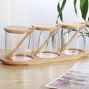 Set van 3 Glazen Kruidenpotjes met Bamboe Lepels