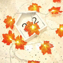 Betoverende LED Esdoornbladlichtslinger-Geschikt voor Binnen en Buiten-werkt op batterij- 3meter 20 lichtjes -Oranje-rood