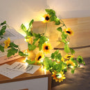 ProductAsset
