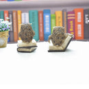 ProductAsset