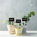 ProductAsset