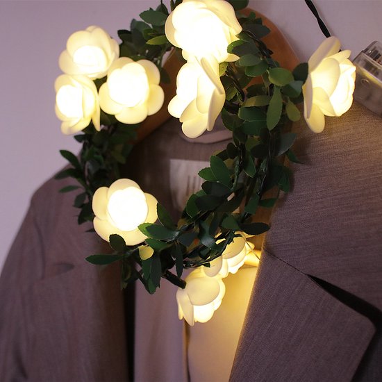LED lichtsnoer rozen met warm wit licht 3m 20 lampjes