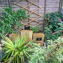 Unikorf 2-delige katten decoratie 22x18 & 22x12 zwart