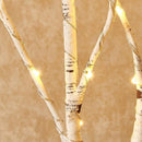 Berkentaklamp 80cm – 50 LED – Decoratieve Taklamp – Warm Wit – Voor Binnen & Buiten – IP43 – Incl. Lampen