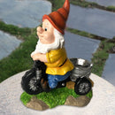 Natuurlijke Vreugde Kabouter op Driewieler Vogelvoederplek