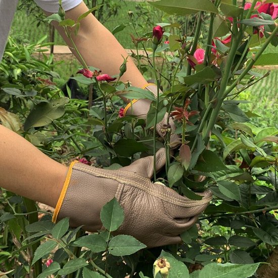 Steekwerende Tuinhandschoenen van Koeienleer – Korte Handschoen (25 cm)