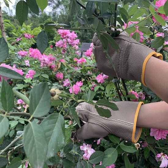 Steekwerende Tuinhandschoenen van Koeienleer – Korte Handschoen (25 cm)