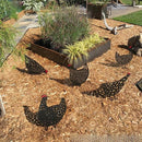 TDR - 5 delige decoratieve acryl kip silhouetten voor tuin