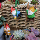 ProductAsset