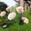 Hortensia Zonne-energie Terraslamp met Sensor - Roze