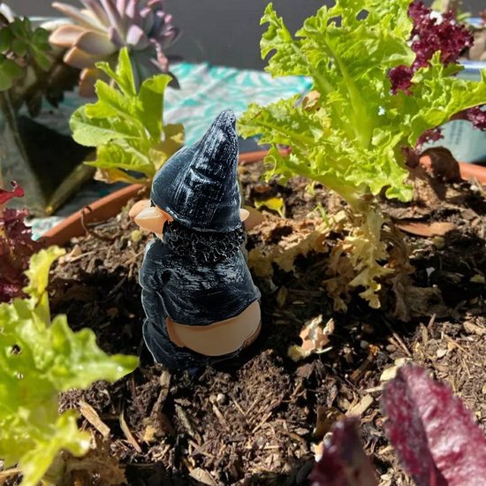 Ondeugende tuinkabouter - Tuindecoratie 6x5x12cm