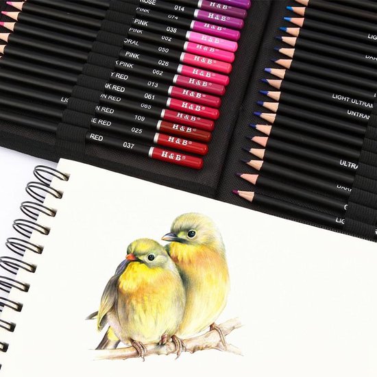 145-delig Tekenset voor Schetsen: Grafietpotloden, Houtskool, Olie-gekleurde Pen, Draagtas voor Kunststudenten en Schooltekenaars