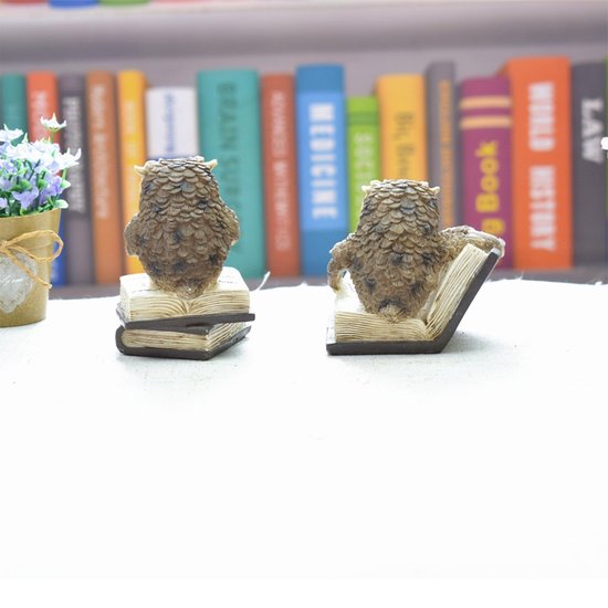 Hars Uil Ornament - Lezende Uil Desktop Decoratie