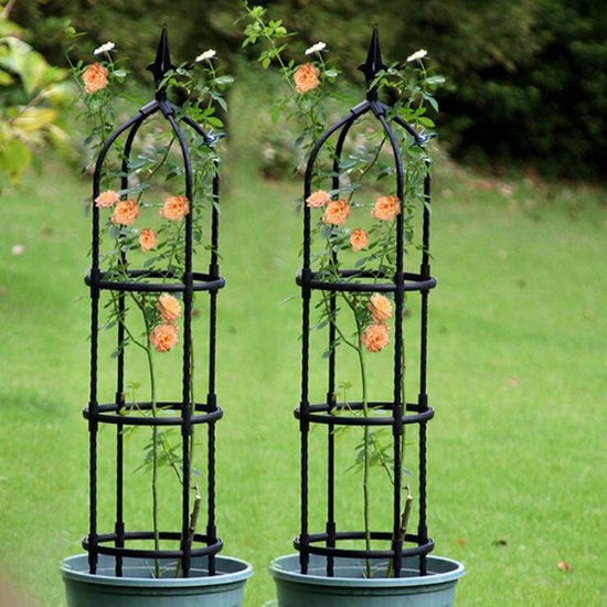 Zwart Klimplantenrek Obelisk 110cm - Duurzaam en Stijlvol