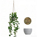 ProductAsset