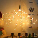 ProductAsset