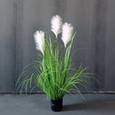Realistische Kunstplant Pampasgras - Witkleuren - Onderhoudsvrij en Duurzaam - 90 cm Hoog