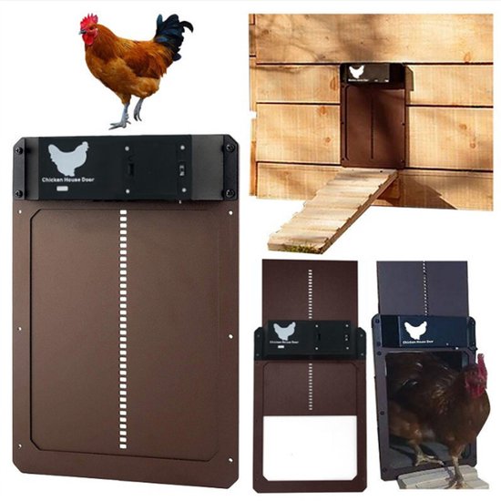 ProductAsset