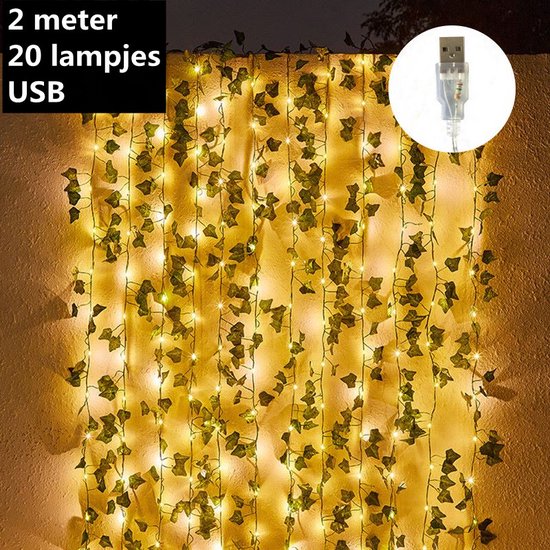 LED lichtsnoer esdoorn klimop USB 2m 20 lampjes